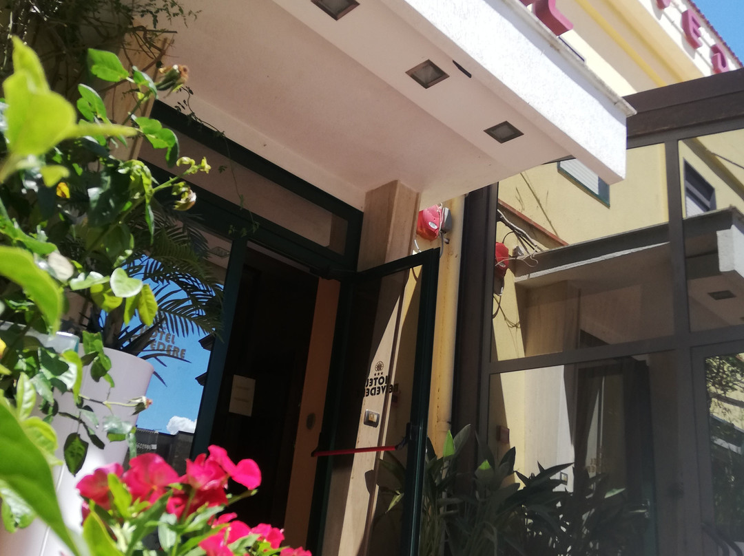 Hotel Belvedere主图