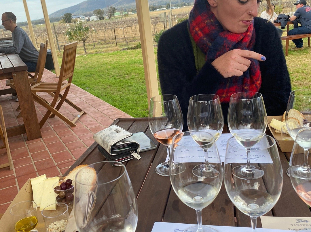 Vinifera Wines-马奇必去景点