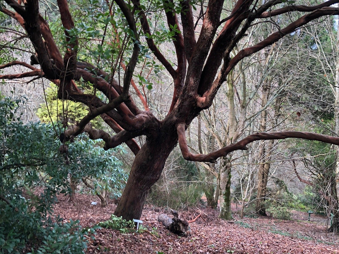 Pirianda Garden-奥林达必去景点