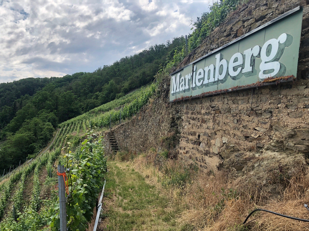 Weingut Schwaab-科布伦茨必去景点