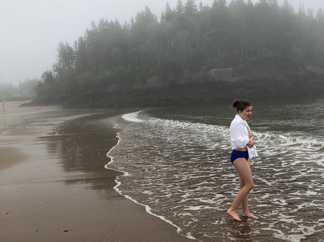 New River Beach Provincial Park景点图片