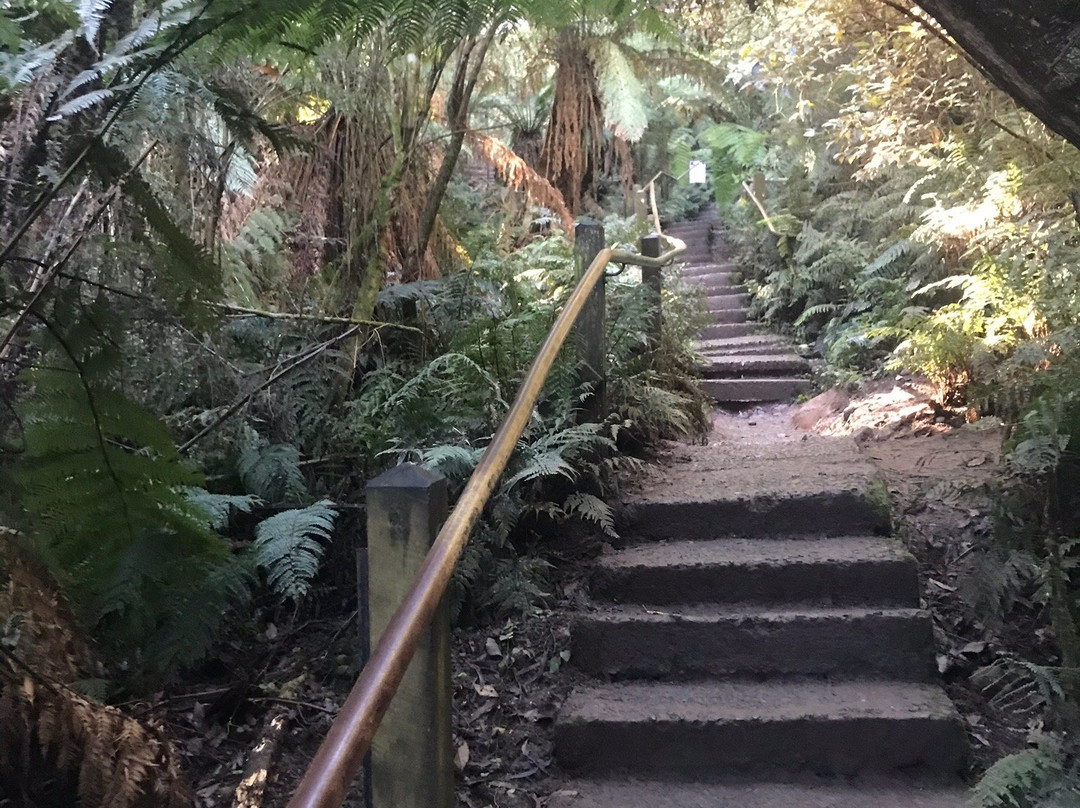 Kokoda Trail Memorial Walk景点图片