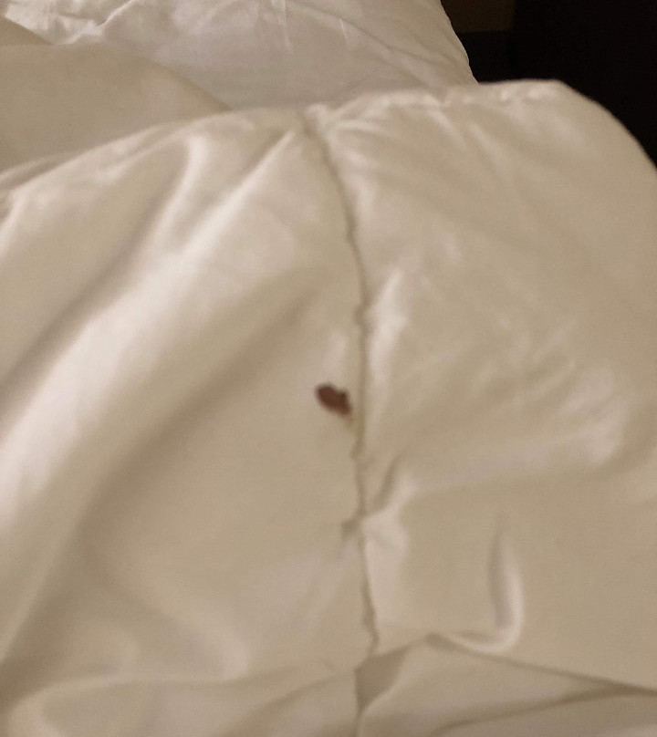 汉堡凯富套房酒店主图