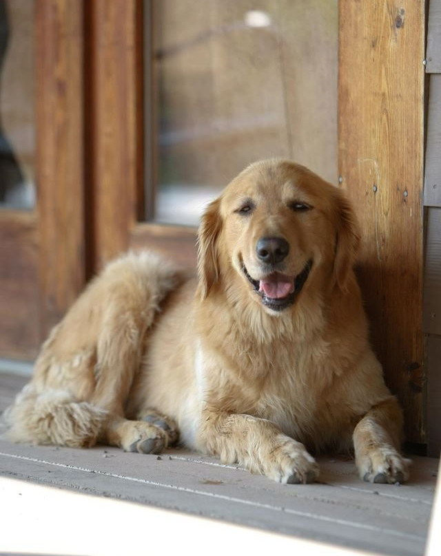 Circle S Guest Ranch and Country Inn主图