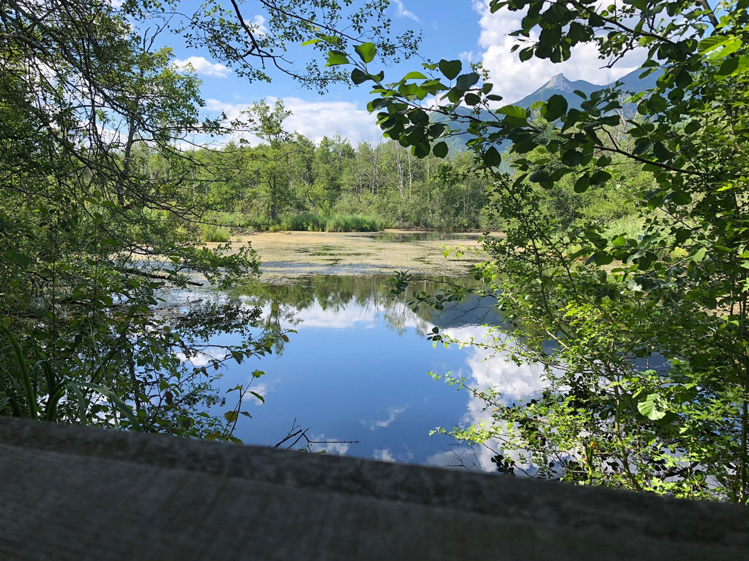 Réserve Naturelle du Marais de Lavours-Ceyzerieu必去景点