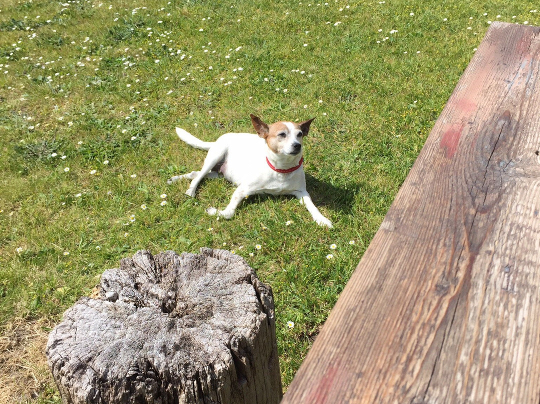 特兰山餐馆和美食-Cafe Brumville