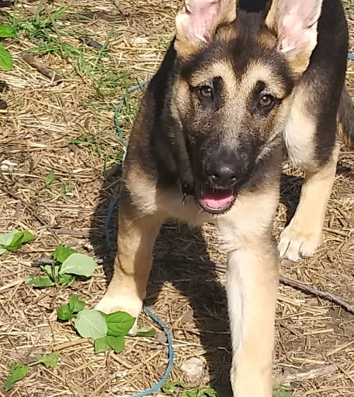 High Bridge Glens-Cuyahoga Falls必去景点