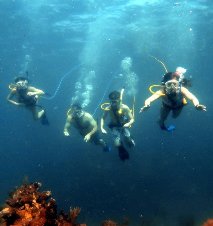 Bvi Snuba景点图片