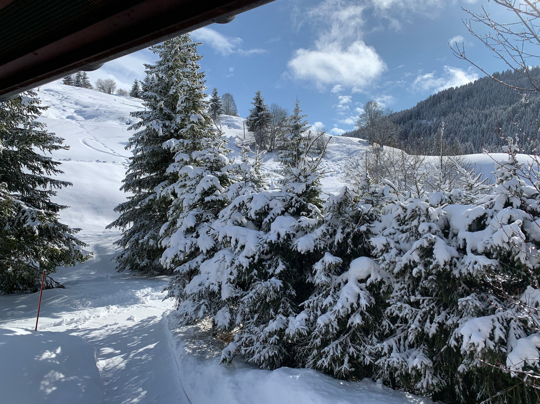 Hôtel Chalet Alpage主图