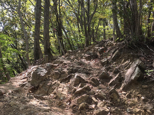 Mt. Kannokura-东秩父村必去景点