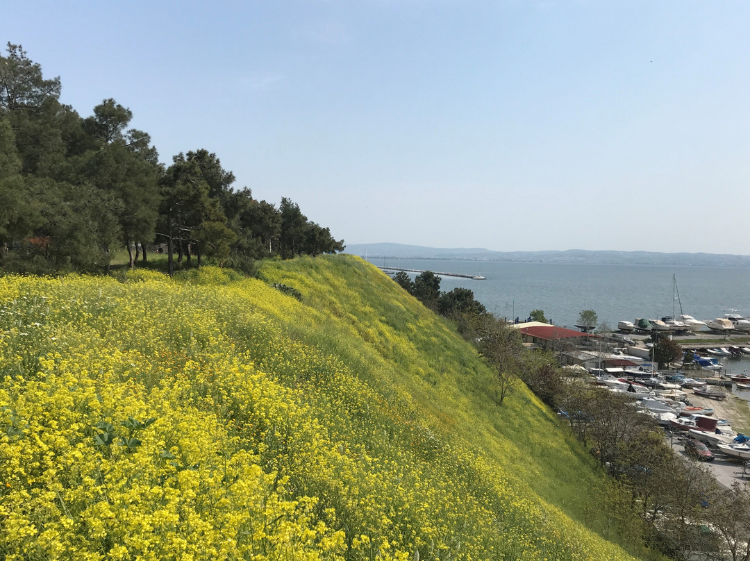 Marina Thessaloniki景点图片