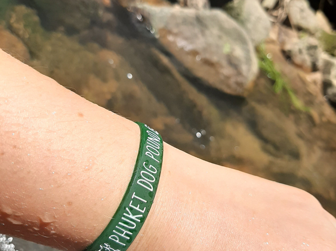 流浪狗基金会-普吉岛必去景点