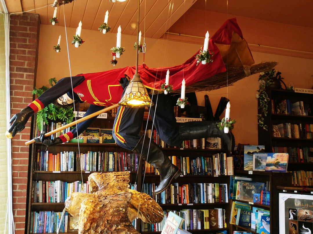 Fernandina Beach-阿米莉亚岛必去景点