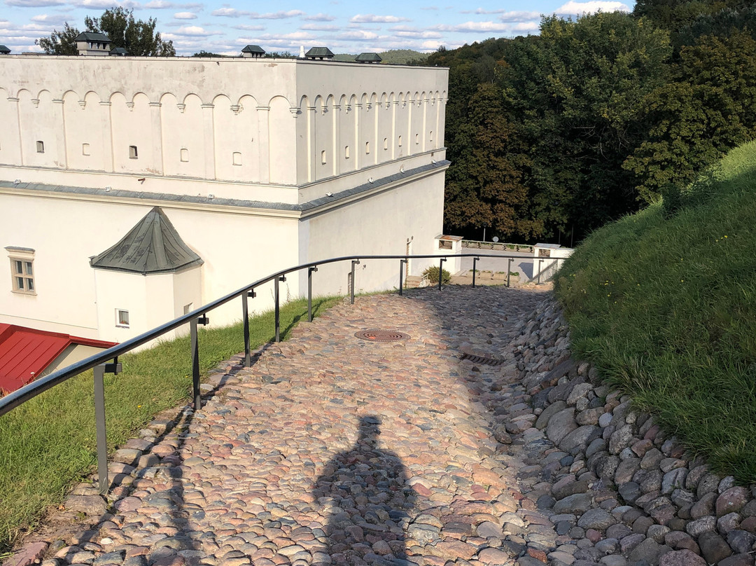 Gediminas Castle Tower-维尔纽斯必去景点