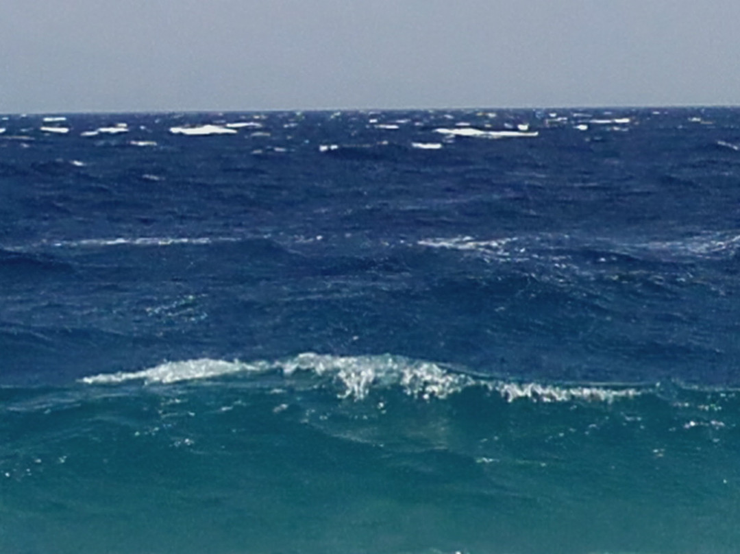 NewKiteZone Kitesurf景点图片