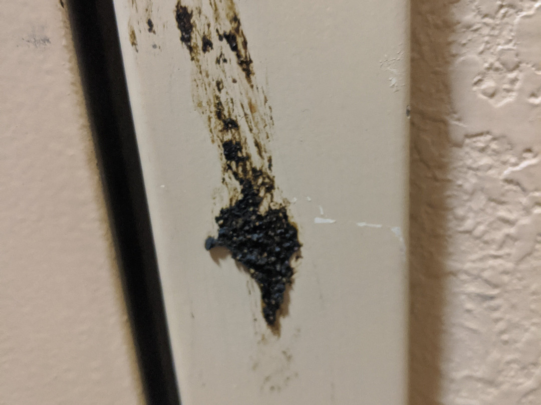 Extended Stay America - St. Louis - Westport - Central主图