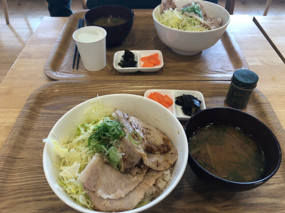 Michi-no-Eki Tojunosato Adokawa-高岛市必去景点
