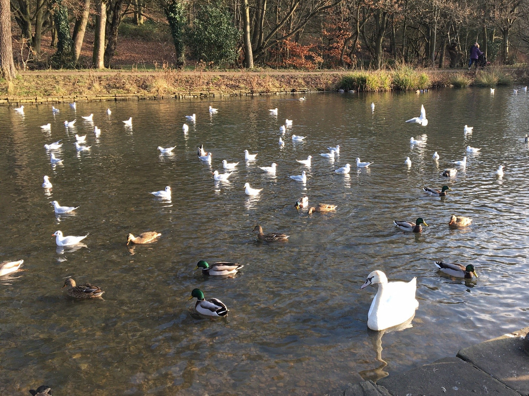Shibden Park-哈里法克斯必去景点