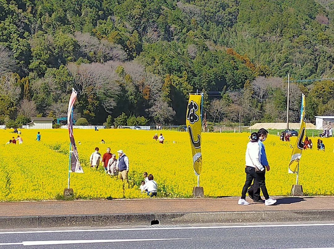Michi-no-Eki Harazuru景点图片