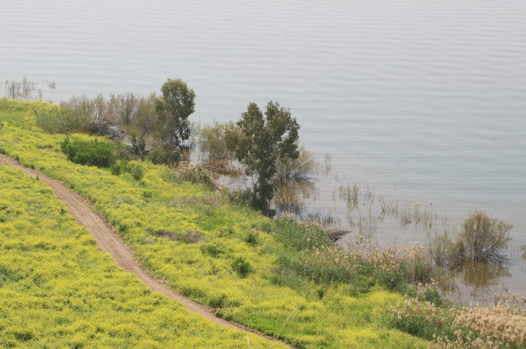 מצפה נוקייב
