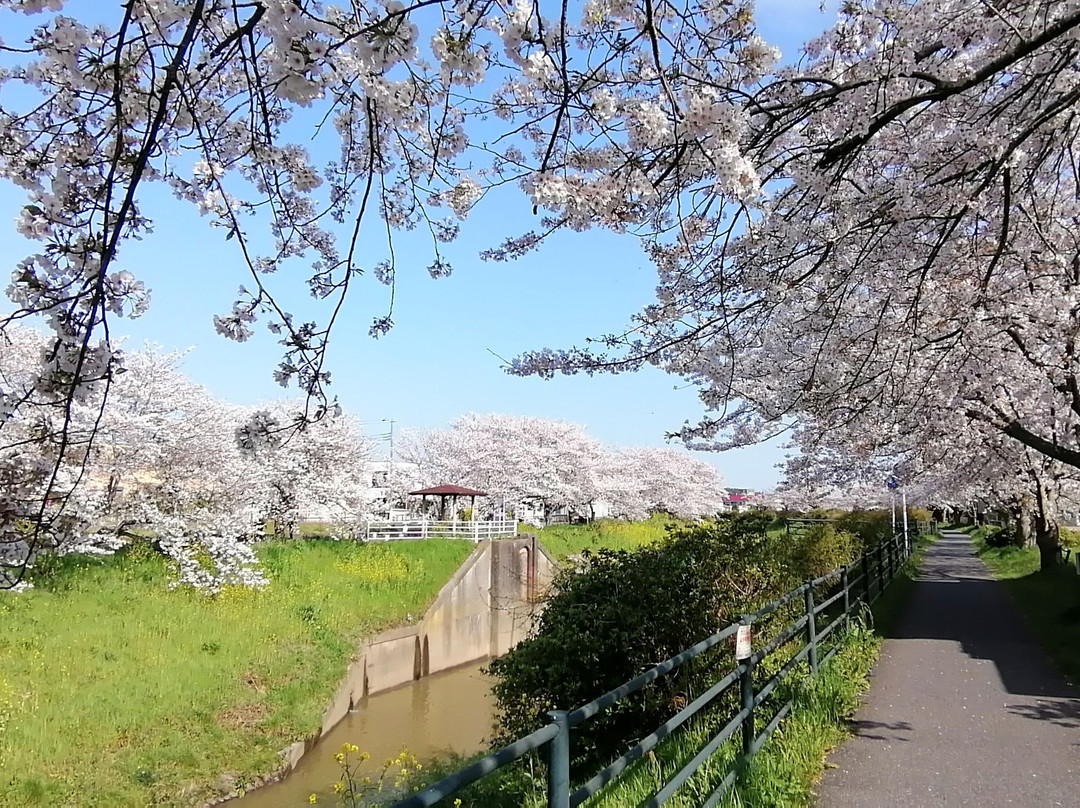 Toyoda River景点图片