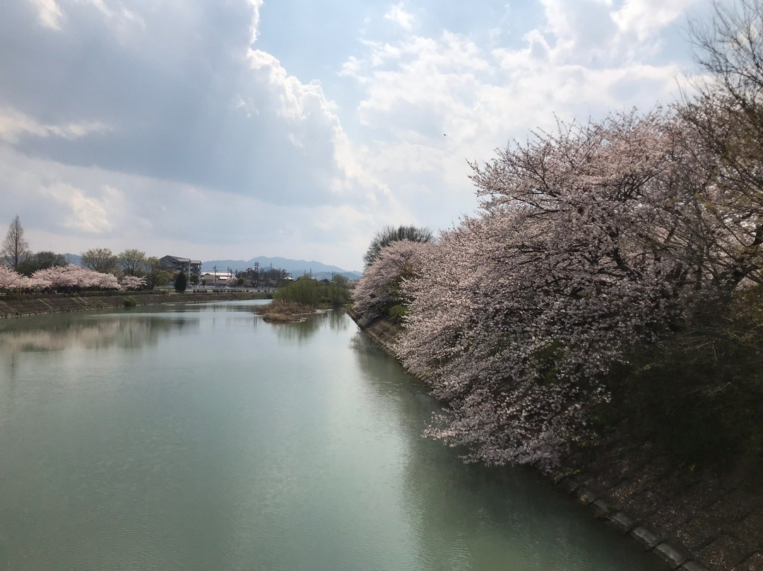 Sakanaigawa Shinsui Park-松阪市必去景点