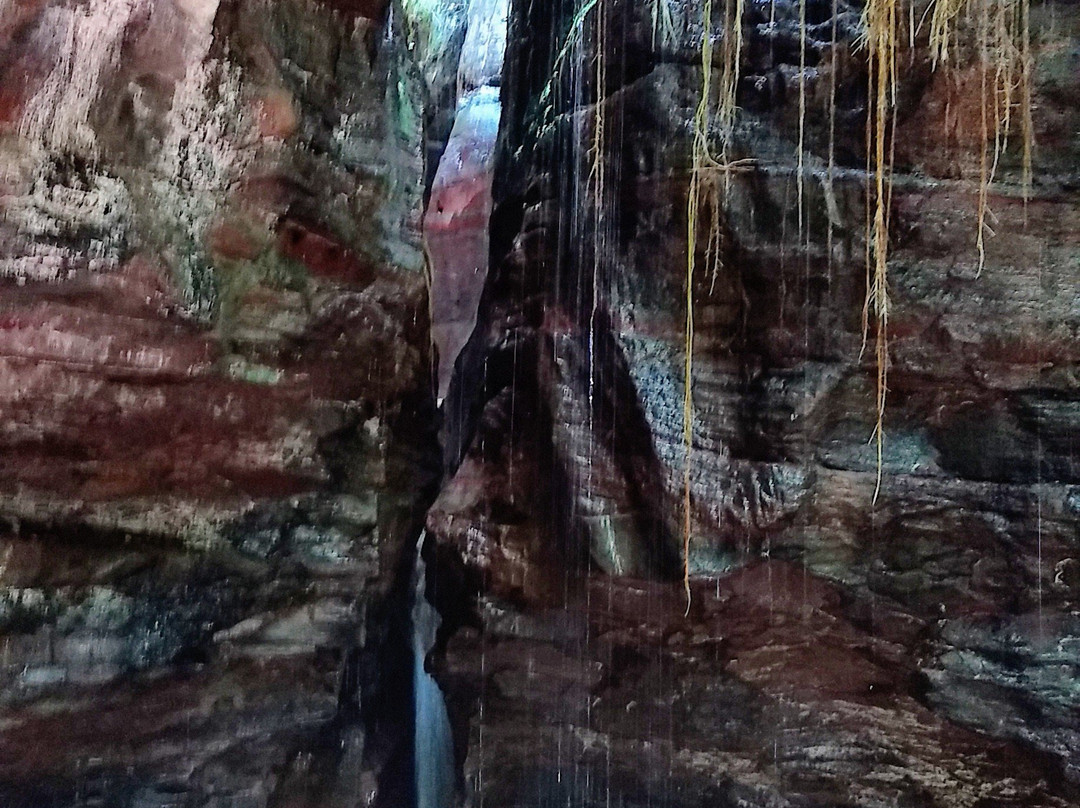 NTur Turismo-Palmas必去景点