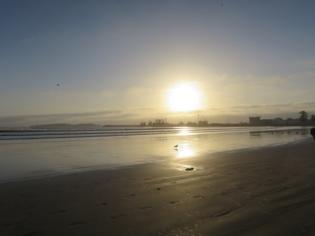 达玛亚摩洛哥传统庭院住宅主图