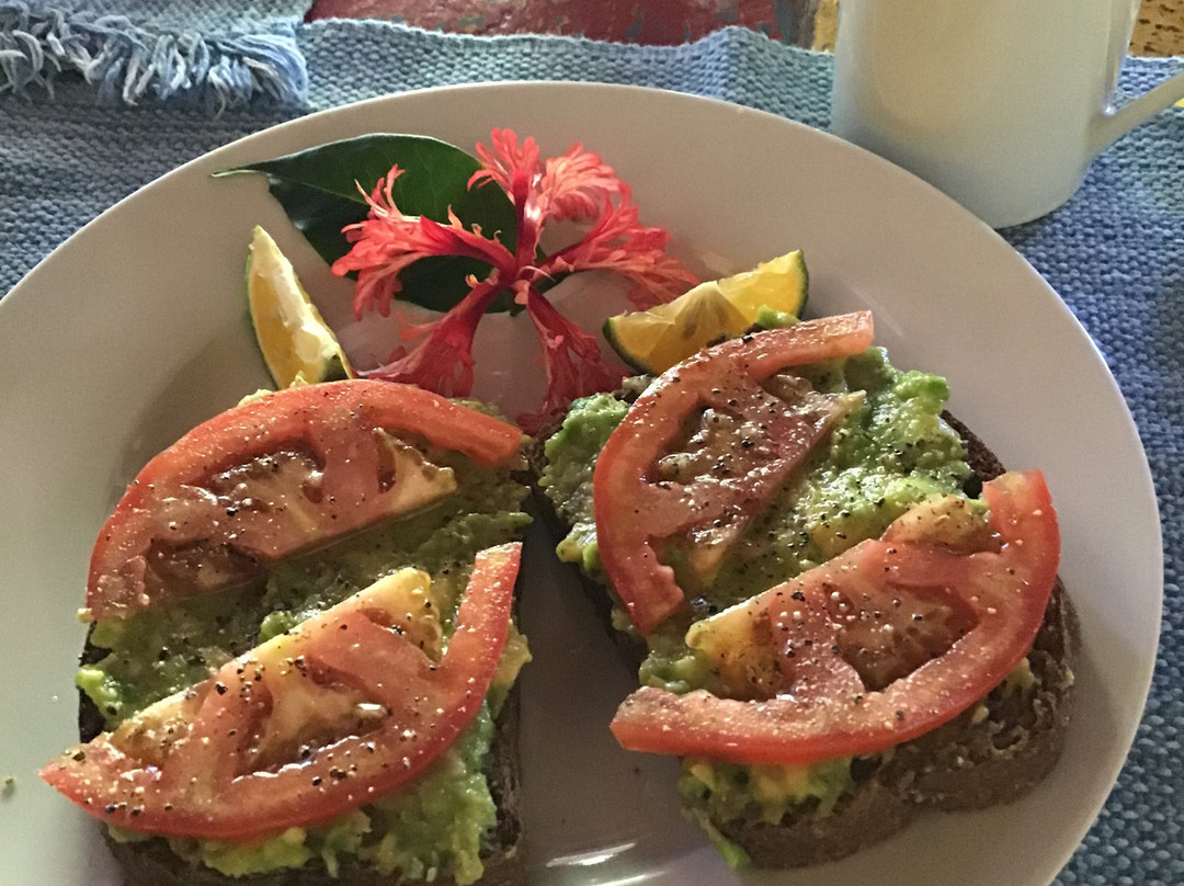 Hotel El Mono Feliz主图