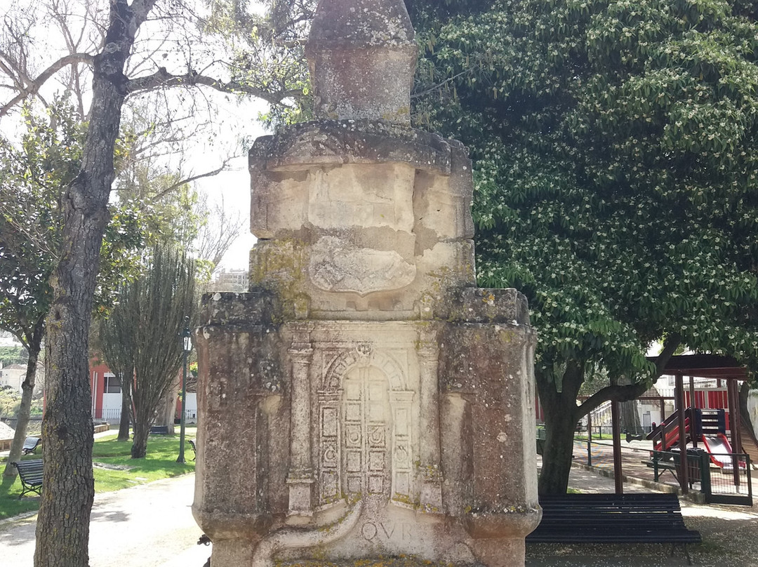 Parque Jardim Vaz Monteiro景点图片