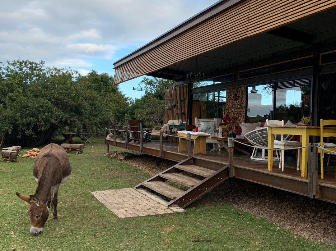 Villa Vilekulla主图