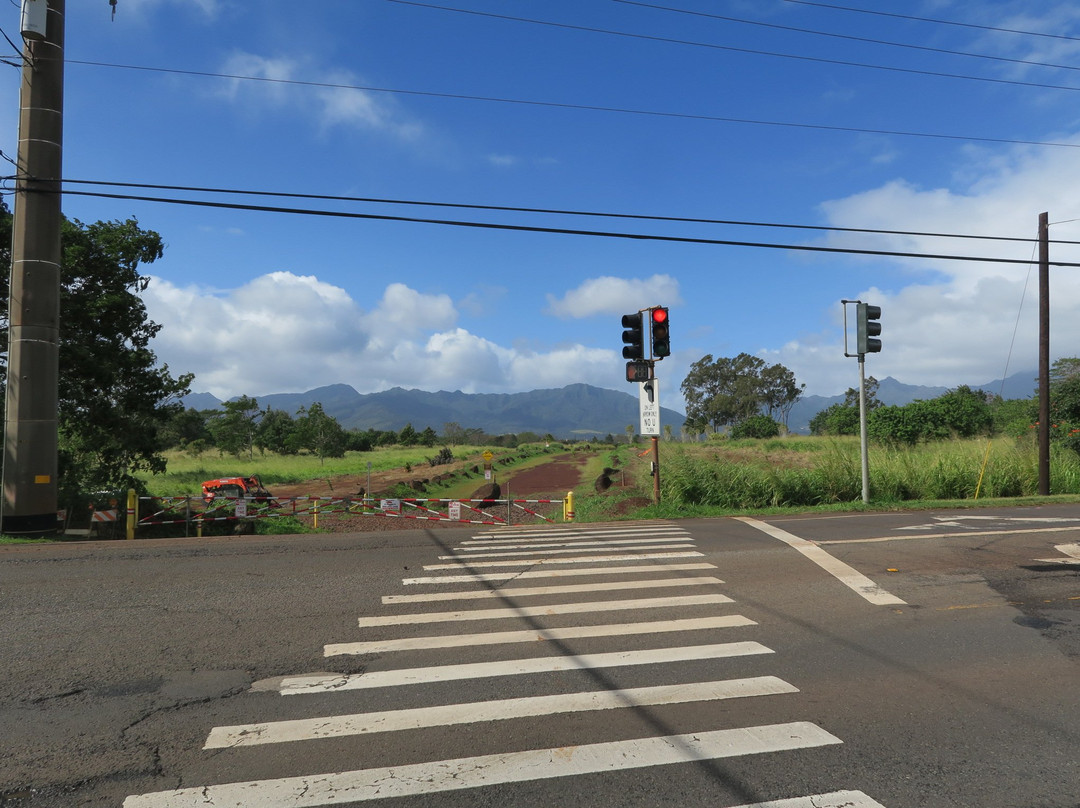 Kukaniloko Birthing Stones-瓦西瓦必去景点
