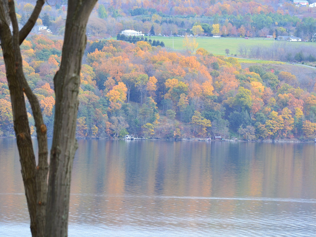 The Pearl of Seneca Lake B&B主图