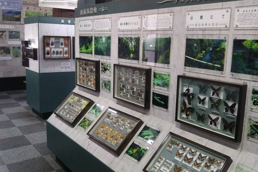 Nawa Insect Museum-岐阜市必去景点
