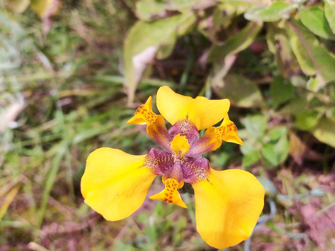 Sacred Valley Rock Tour-库斯科必去景点