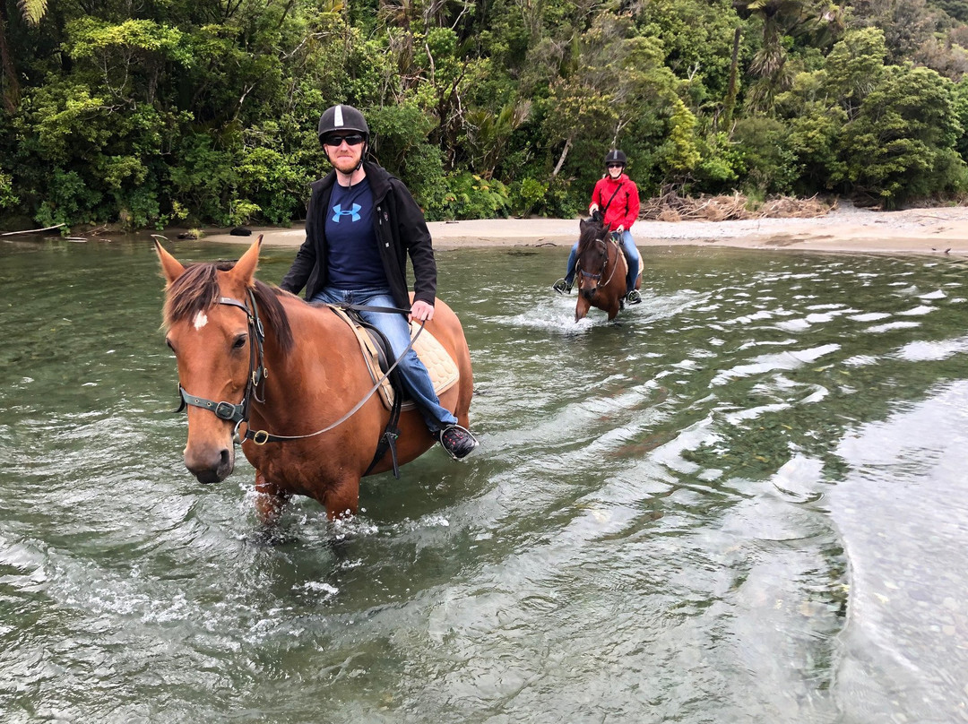 Punakaiki Horse Treks景点图片