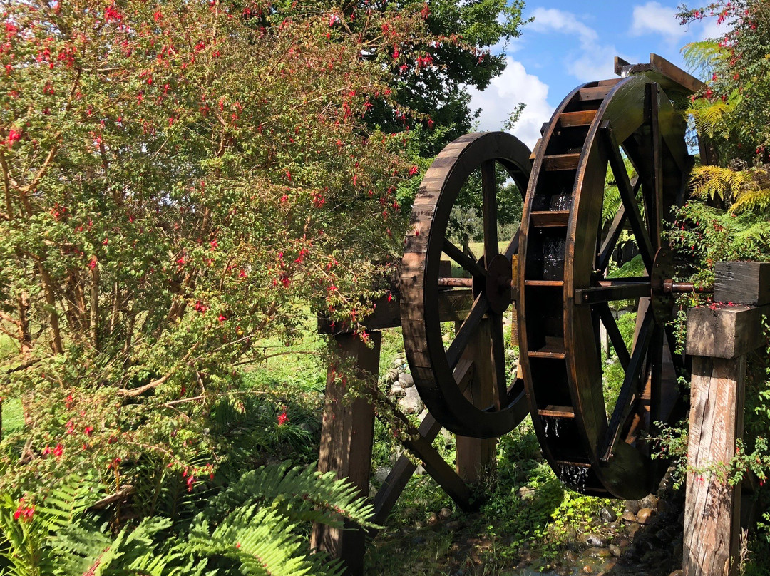 Museo Antonio Felmer-巴拉斯港必去景点