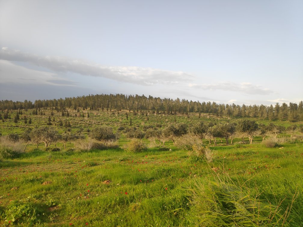 The Museum of Bedouin Culture-贝尔谢巴必去景点