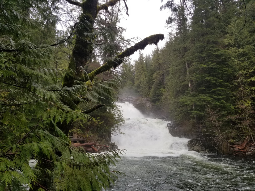 Port Renfrew Adventure Company景点图片