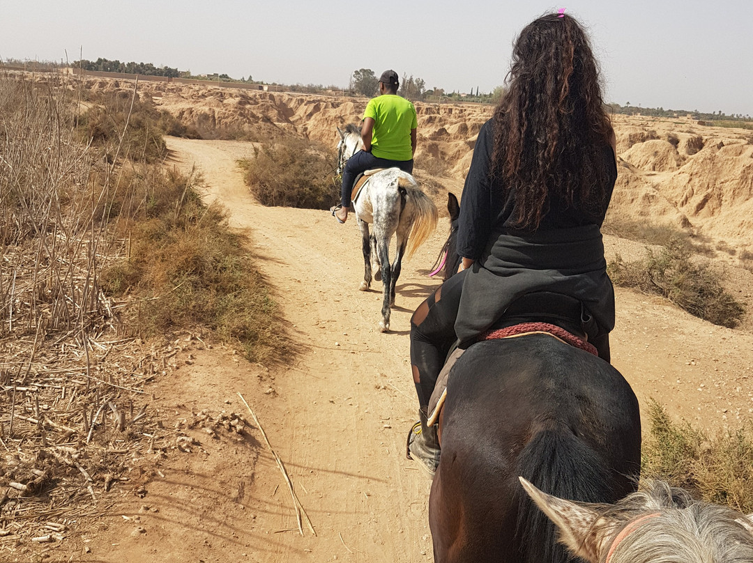 Les écuries de La Roseraie-塔鲁丹特必去景点