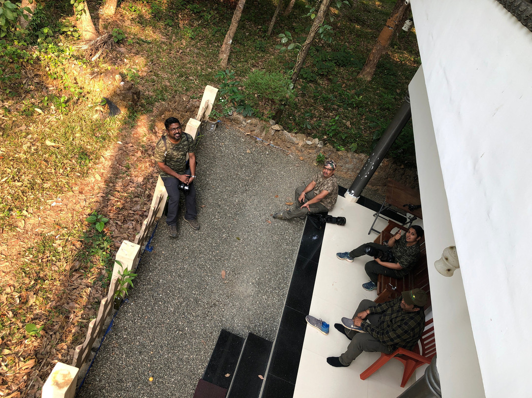 Jungle Bird Homestay主图