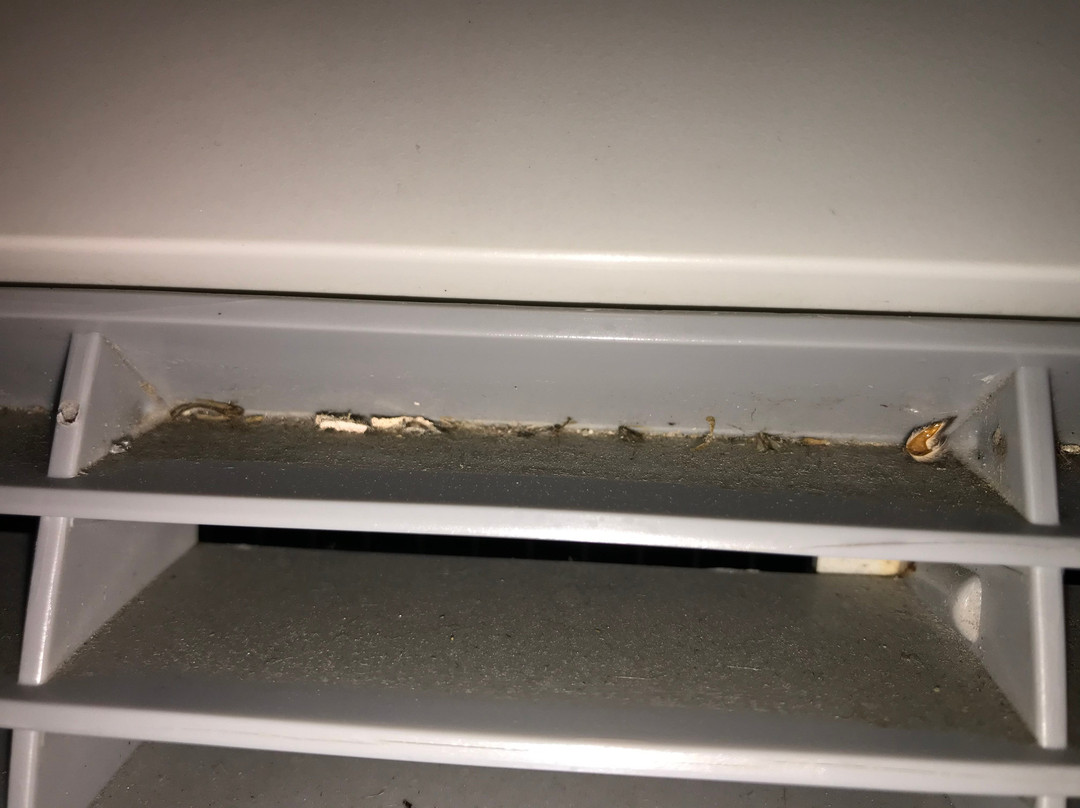 Denison Inn & Suites主图