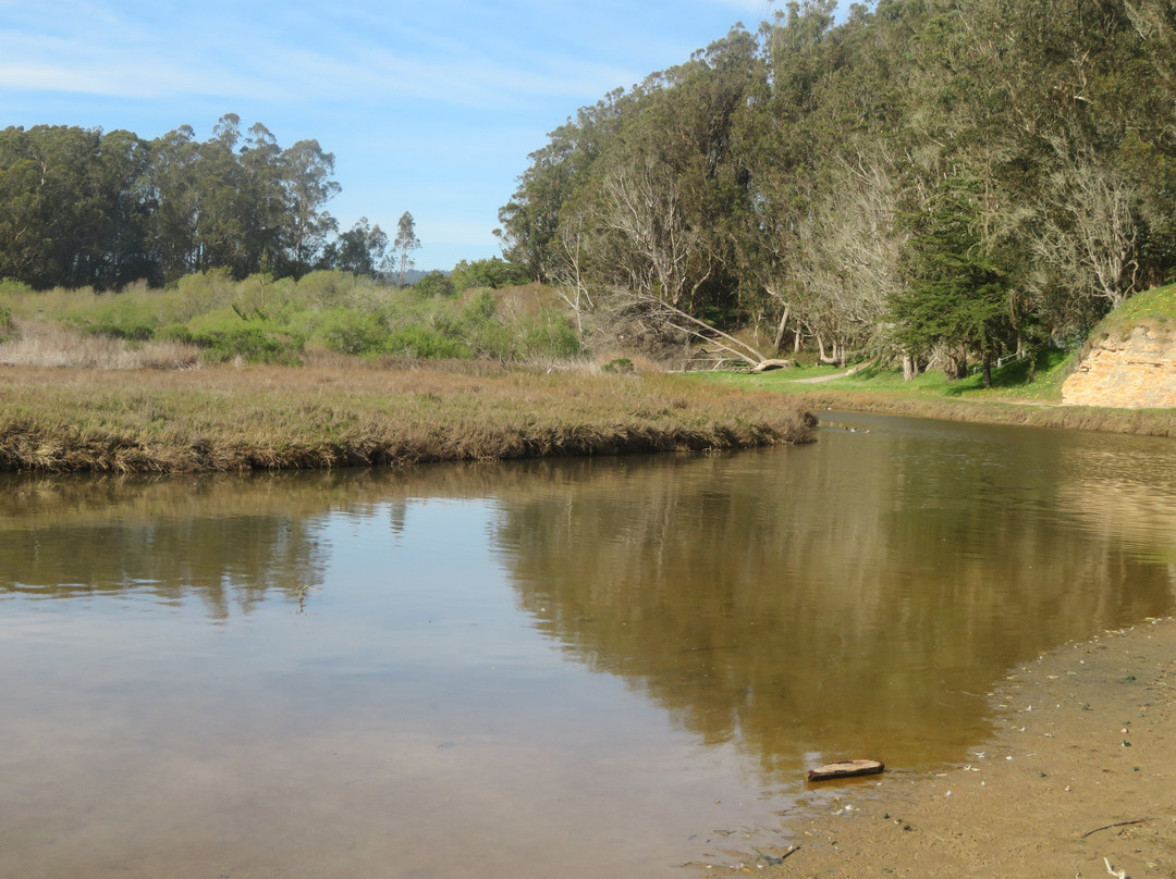 Moore Creek Wildlife Preserve-圣克鲁斯必去景点