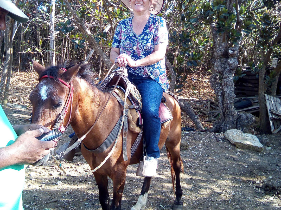Native Horses-San Luis必去景点