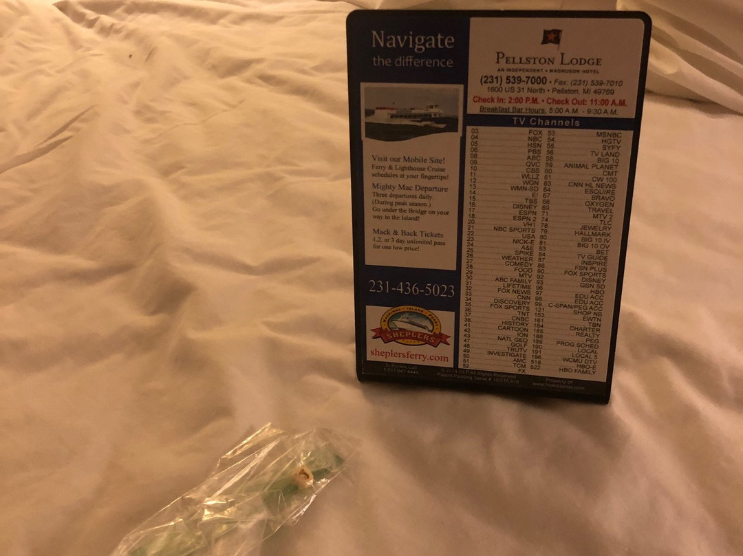 Pellston Lodge Magnuson Hotel主图