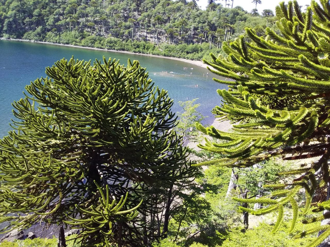 Laguna La Mula-Ralco必去景点