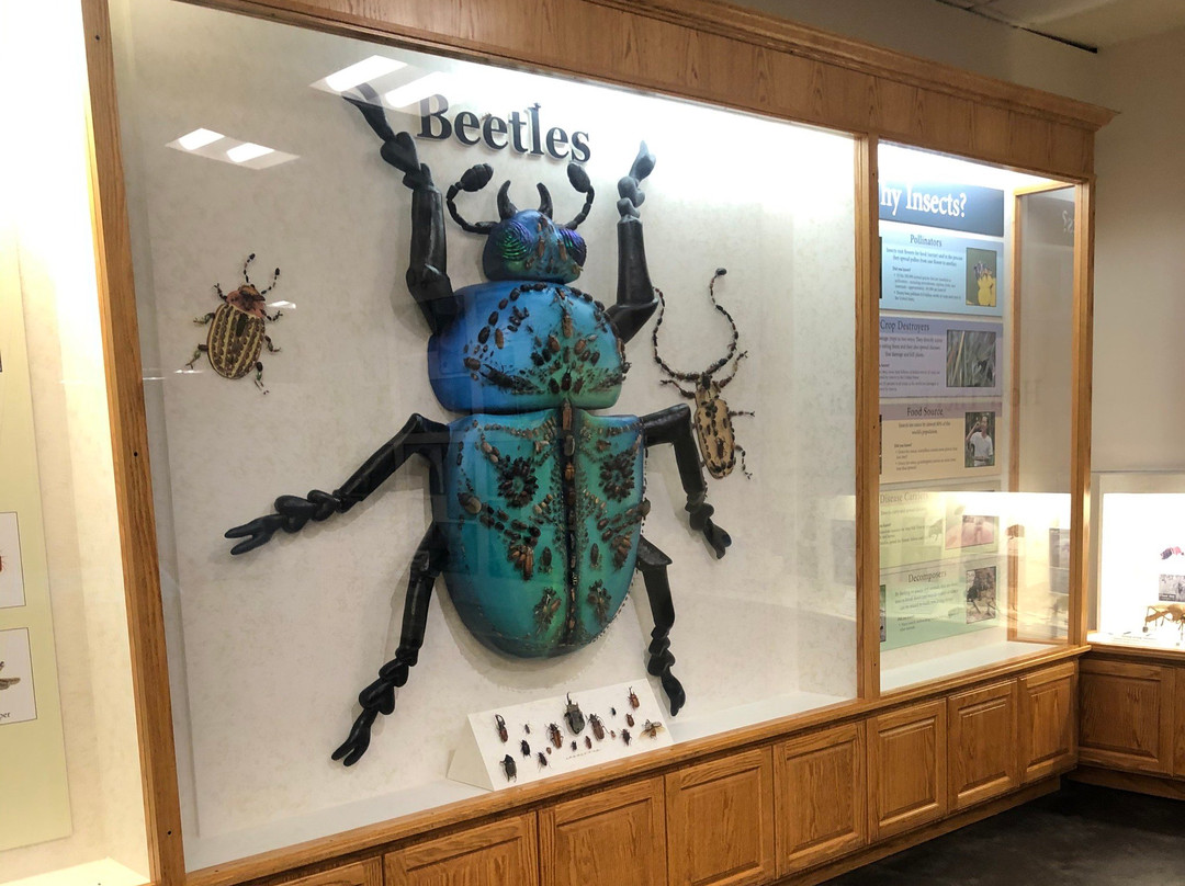 Monte L. Bean Life Science Museum-普若佛必去景点