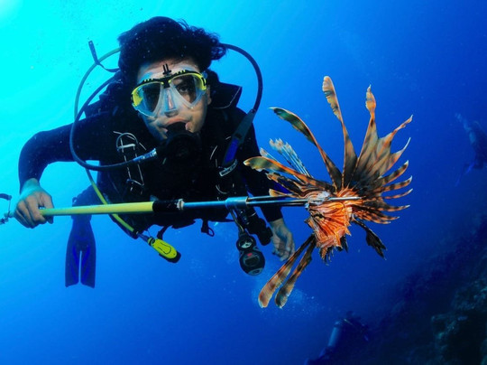 Mundo Submarino-韦拉克鲁斯必去景点