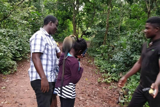 Dmasrk Tours-库马西必去景点