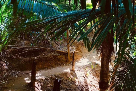 Pata Salada Tours-瓦拉塔港必去景点